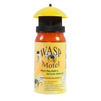 Wasp Motel